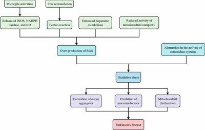 Crosstalk between regulatory non-coding RNAs and oxidative stress in Parkinson’s disease